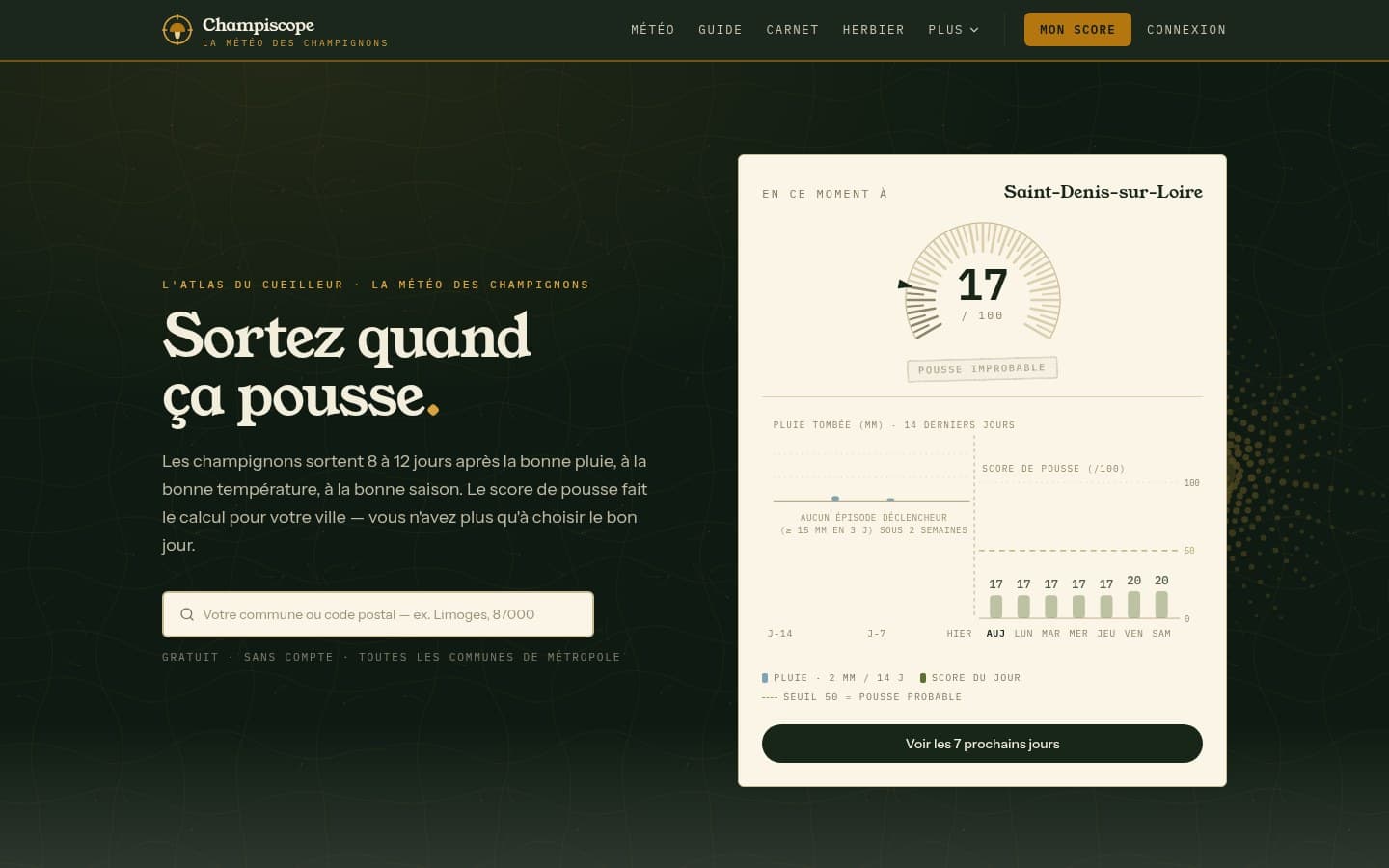 Aperçu ordinateur du site Champiscope