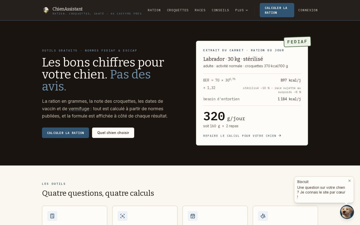 Aperçu ordinateur du site Chien Assistant