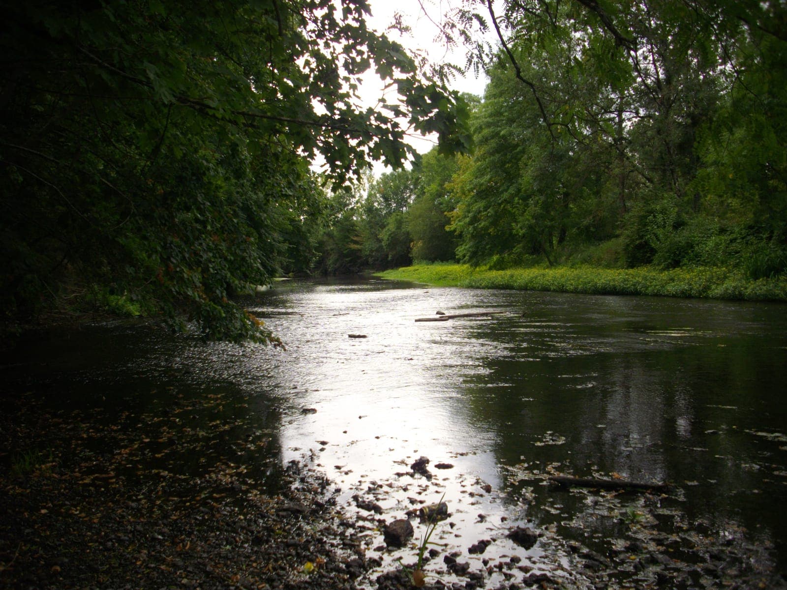 La Sauldre traversant le centre de Romorantin-Lanthenay, bordée de maisons anciennes